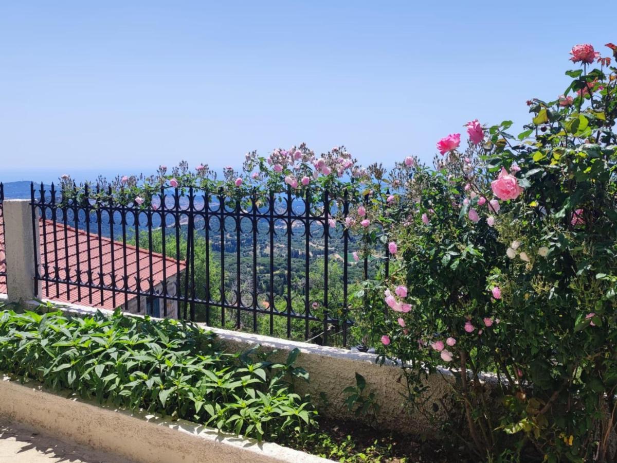 Fioravante Argostoli (Kefalonia) Exterior foto